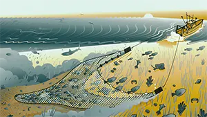 deap-sea trawling captures blobfish