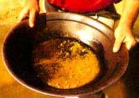 Panning Gold in Australia